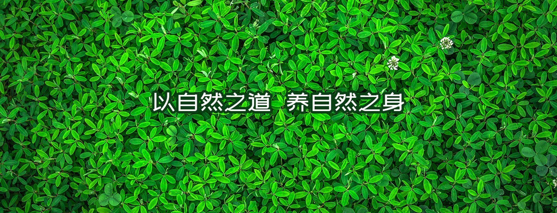 产品展馆